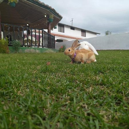 Quinta Winay Hotel Yaruqui Екстериор снимка